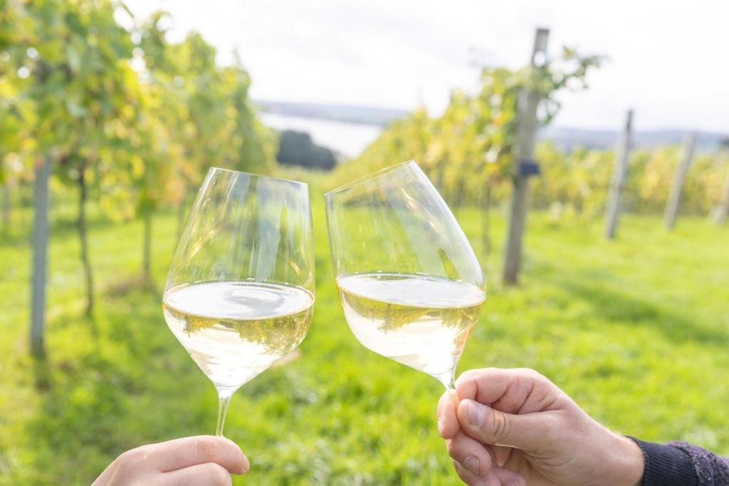 Lympstone Manor Hotel Restaurant & Vineyard - Relais & Chateaux إاكسماوث المظهر الخارجي الصورة