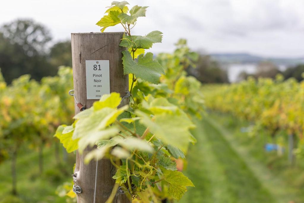Lympstone Manor Hotel Restaurant & Vineyard - Relais & Chateaux إاكسماوث المظهر الخارجي الصورة