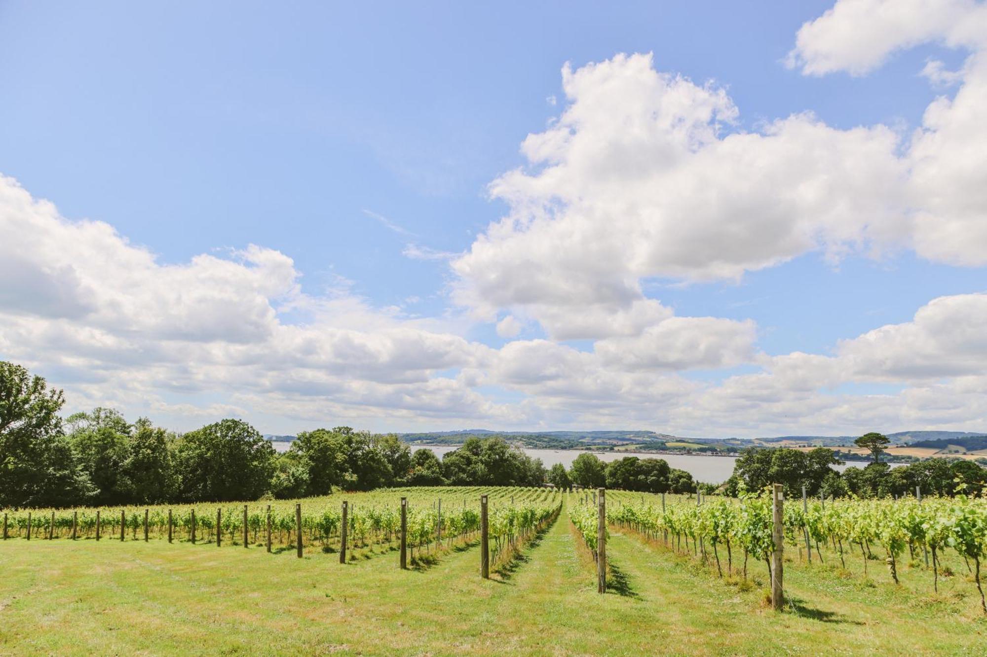 Lympstone Manor Hotel Restaurant & Vineyard - Relais & Chateaux إاكسماوث المظهر الخارجي الصورة