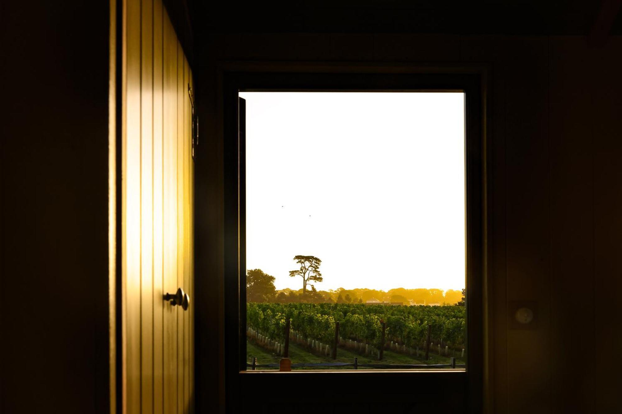Lympstone Manor Hotel Restaurant & Vineyard - Relais & Chateaux إاكسماوث المظهر الخارجي الصورة
