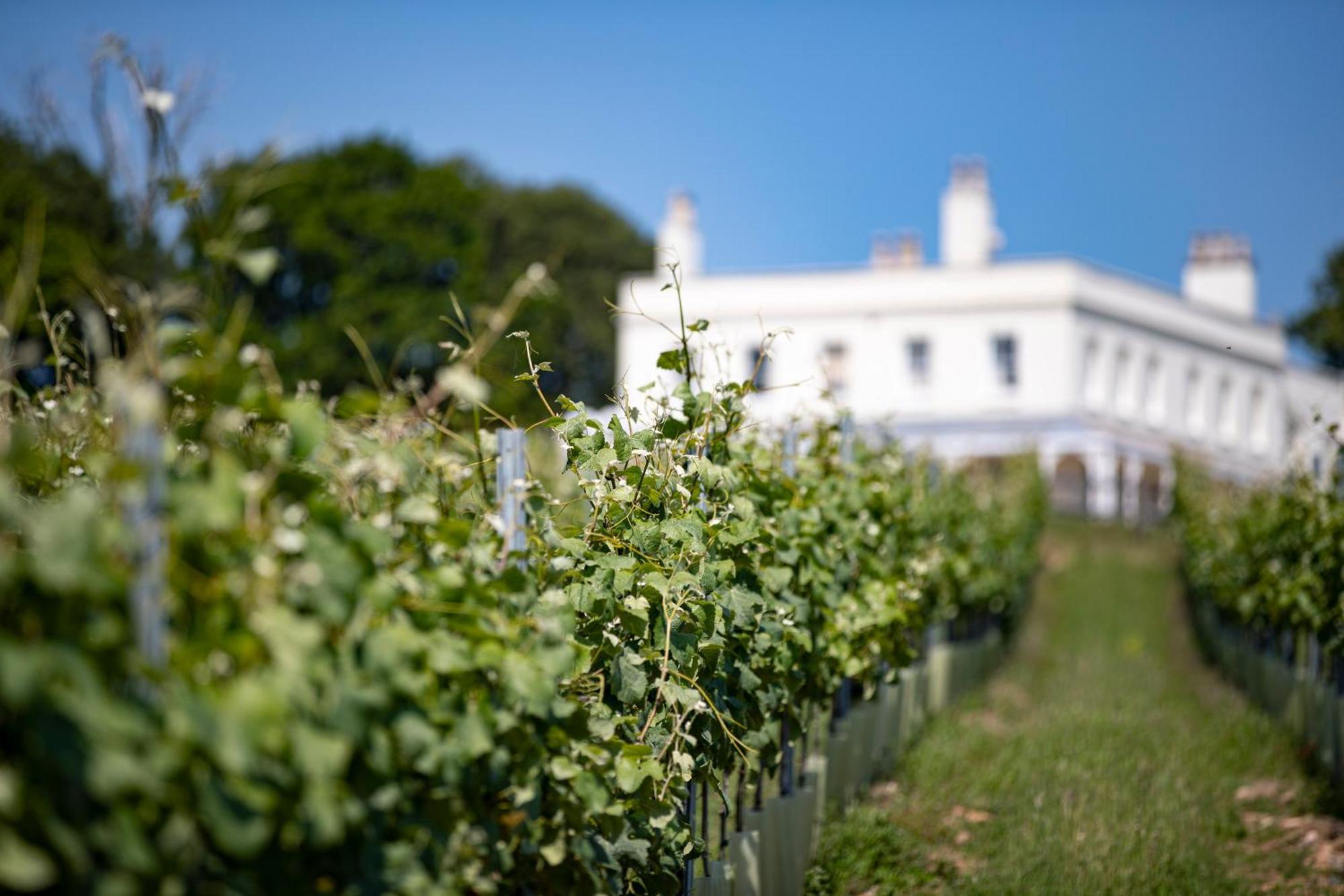 Lympstone Manor Hotel Restaurant & Vineyard - Relais & Chateaux إاكسماوث المظهر الخارجي الصورة