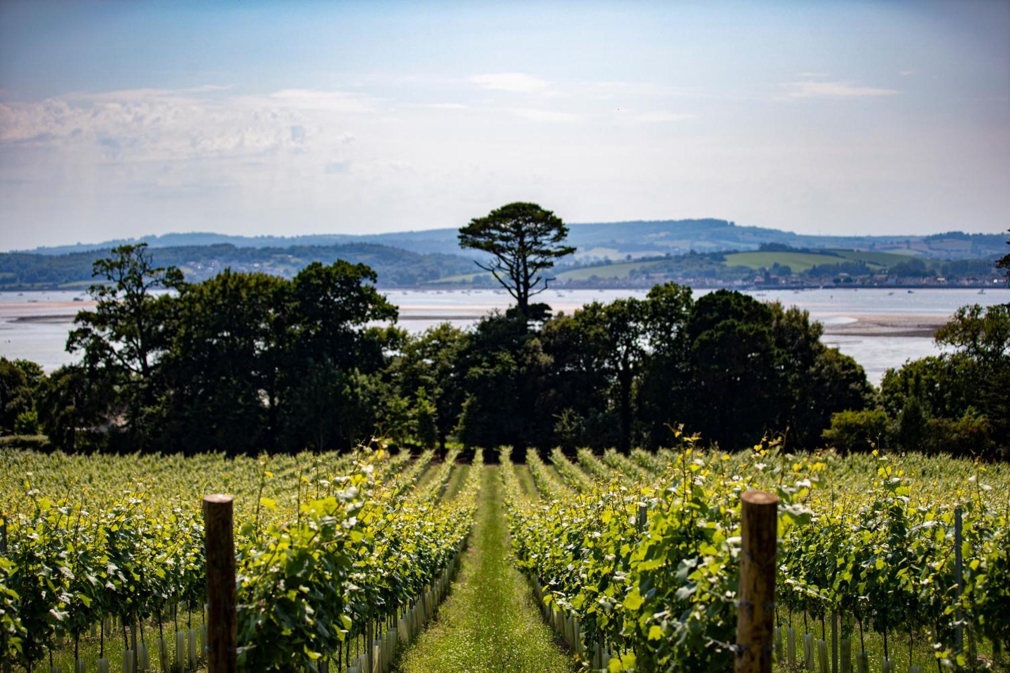 Lympstone Manor Hotel Restaurant & Vineyard - Relais & Chateaux إاكسماوث المظهر الخارجي الصورة