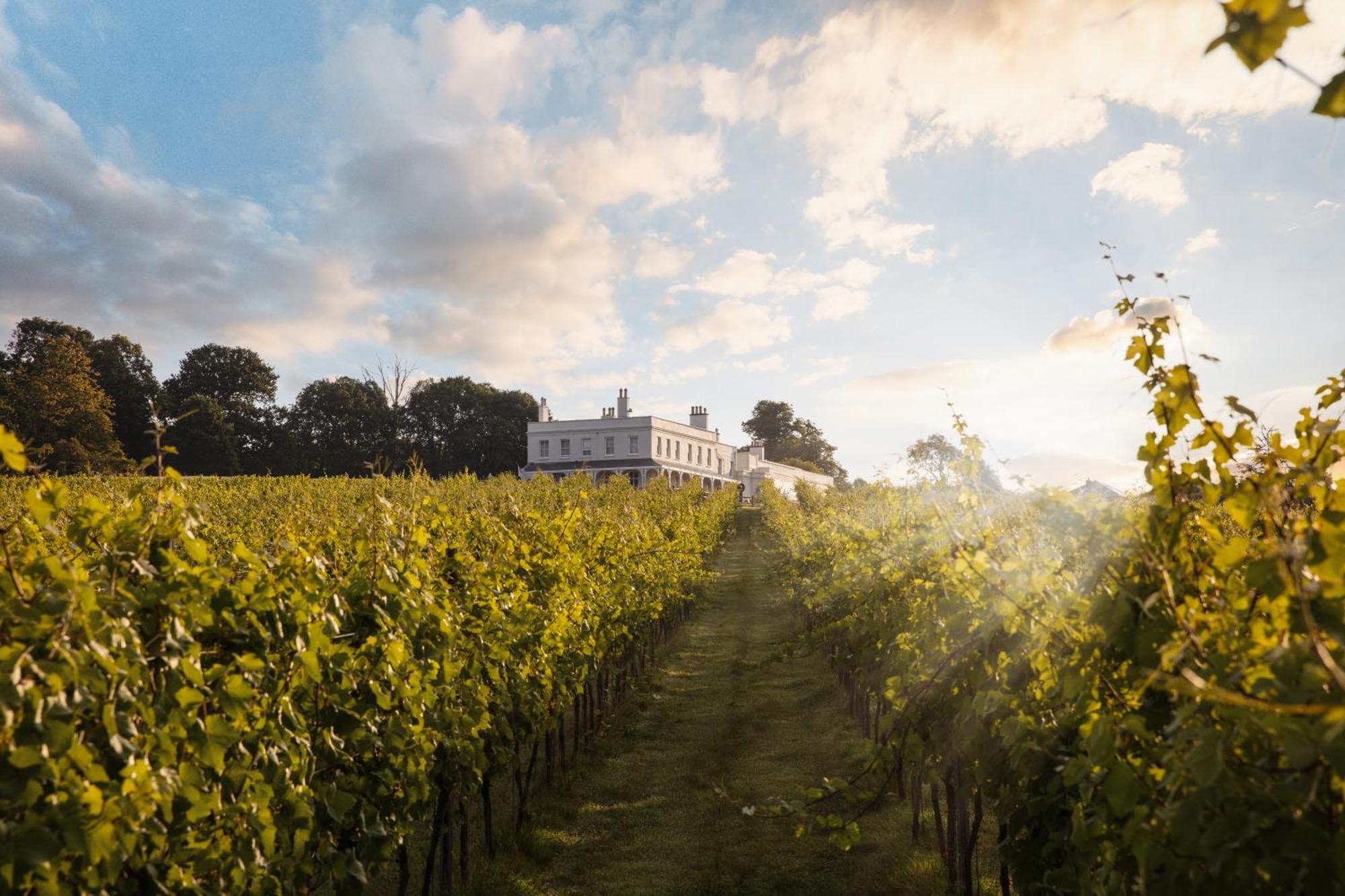 Lympstone Manor Hotel Restaurant & Vineyard - Relais & Chateaux إاكسماوث المظهر الخارجي الصورة
