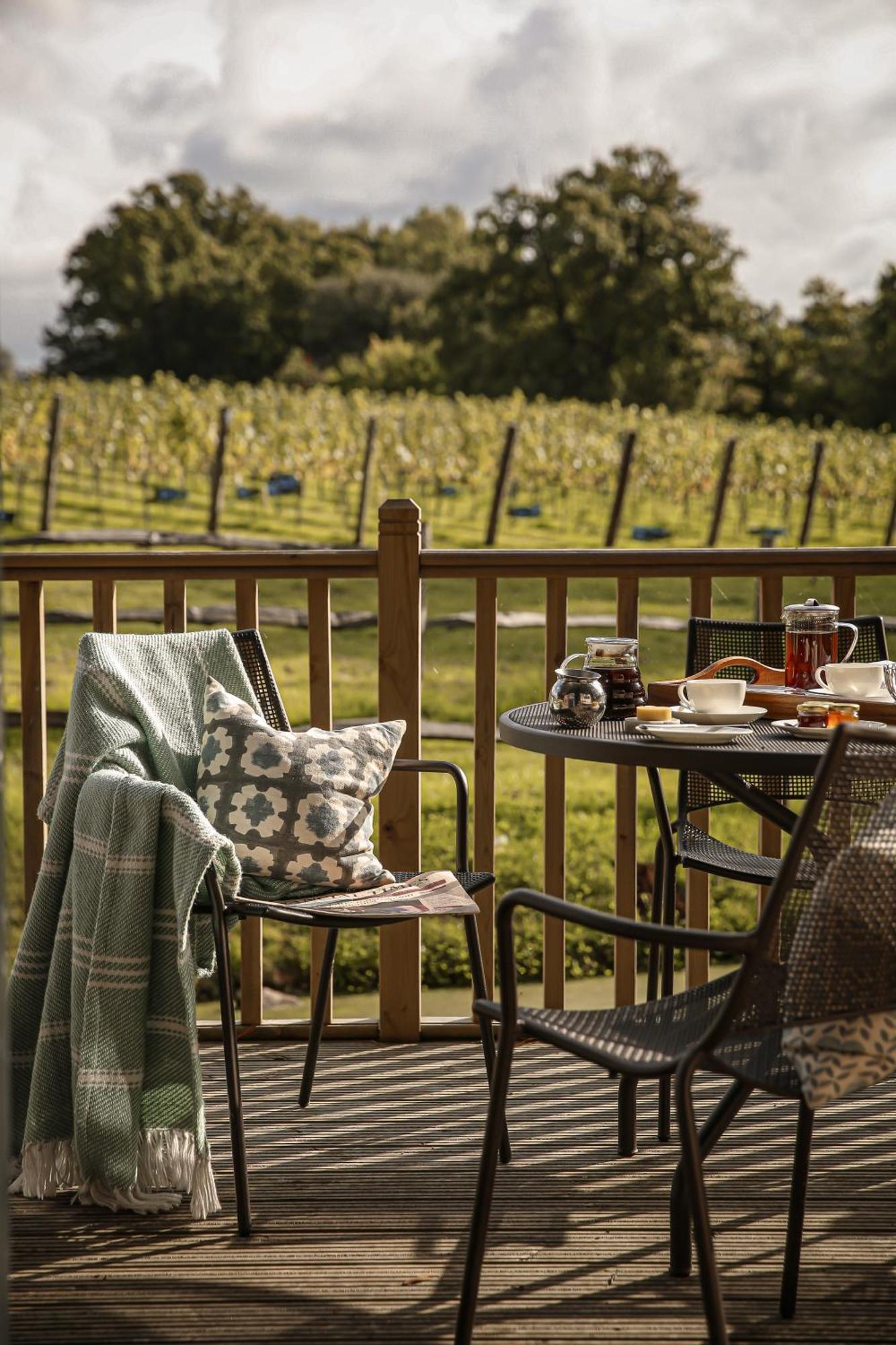 Lympstone Manor Hotel Restaurant & Vineyard - Relais & Chateaux إاكسماوث المظهر الخارجي الصورة
